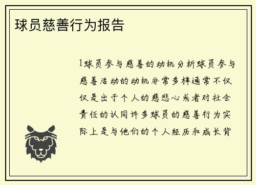 球员慈善行为报告